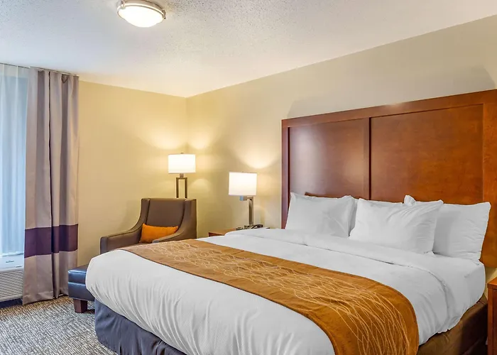 Comfort - Area Hotel 3*