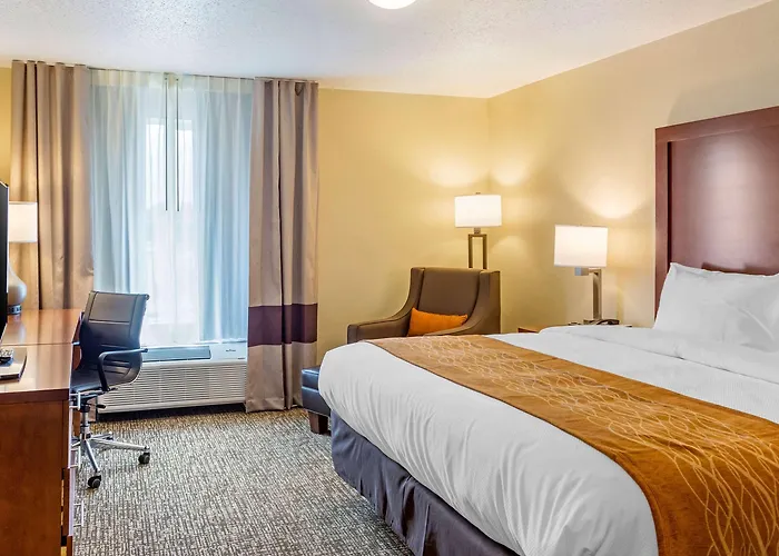 Comfort - Area 3* DeKalb
