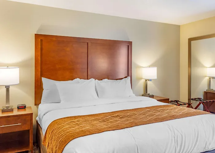 Comfort - Area DeKalb