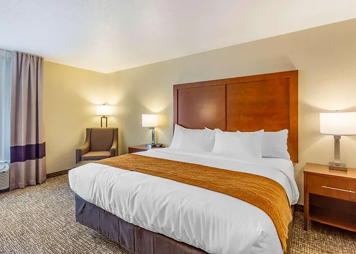 Comfort - Area Hotel DeKalb