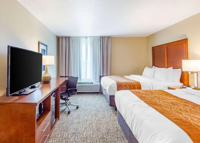 Hotel Comfort - Area 3*