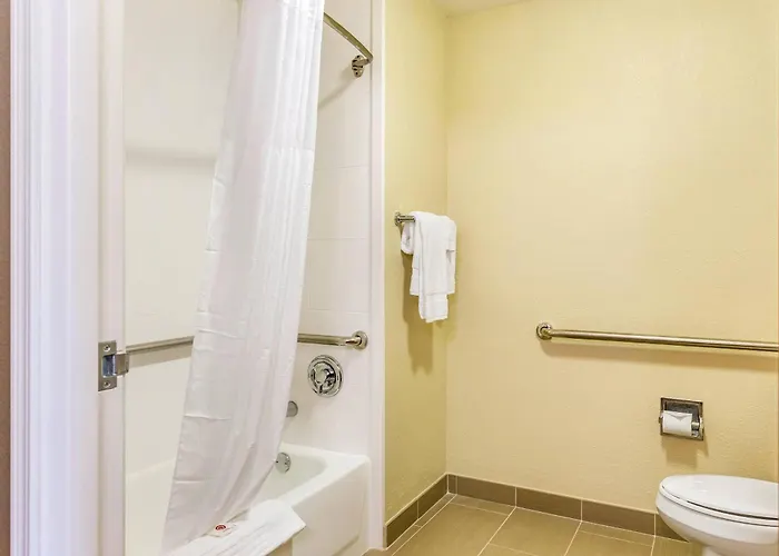Comfort - Area