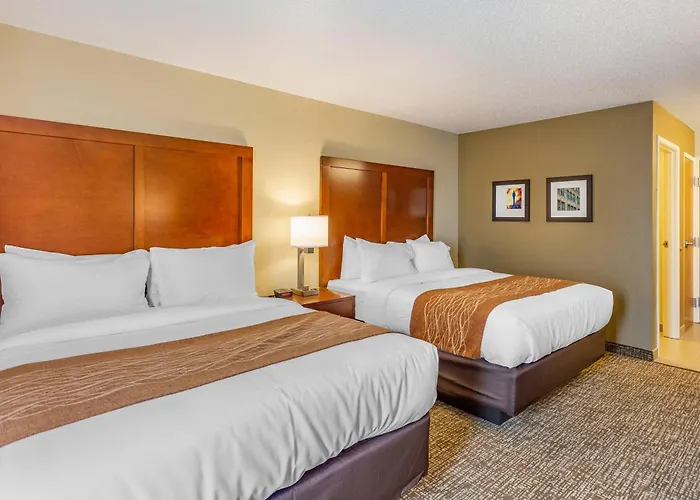 Comfort - Area Hotel