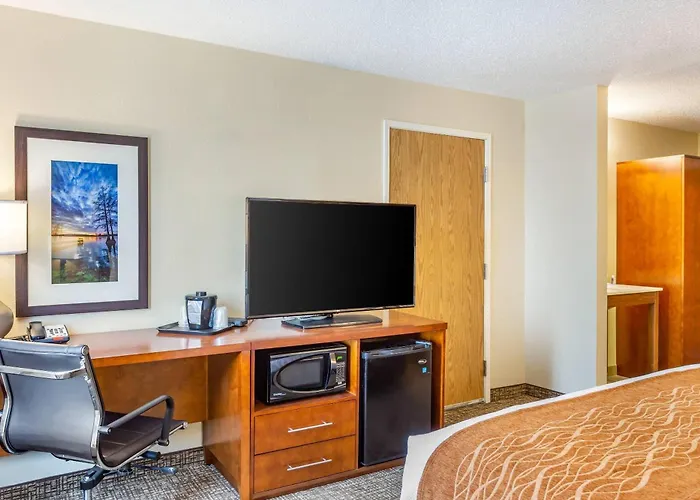 Comfort - Area Hotel 3*