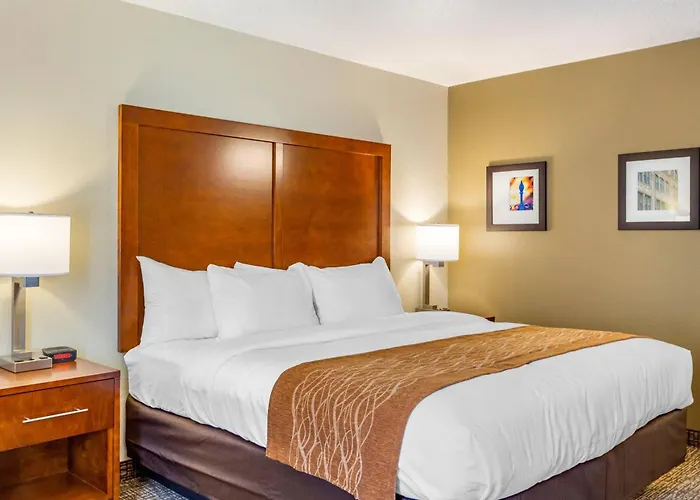 Comfort - Area 3*