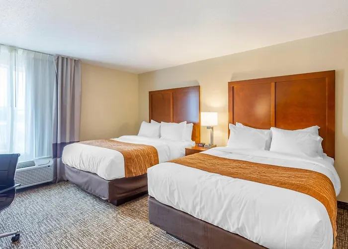 Comfort - Area Hotel