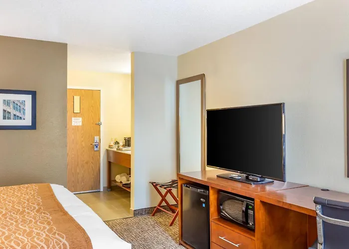 Hotel Comfort - Area