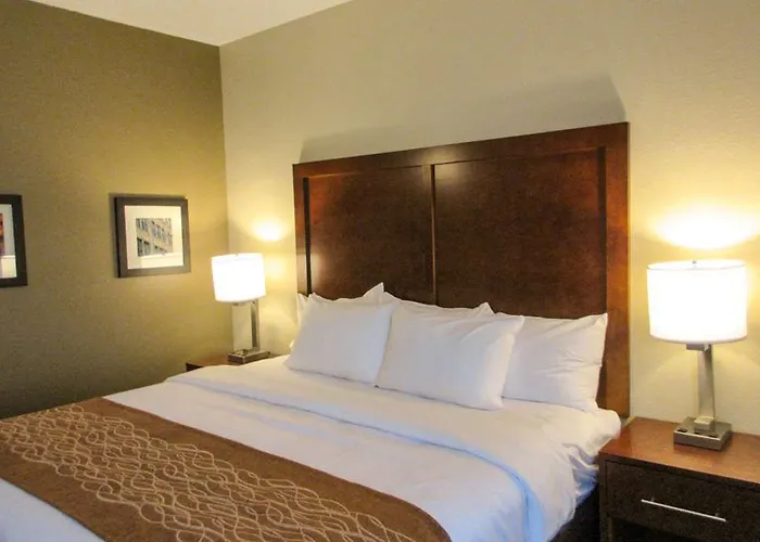 Comfort - Area Hotel
