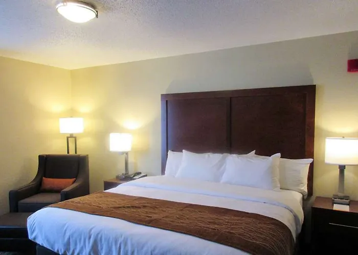 Hotel Comfort - Area 3*