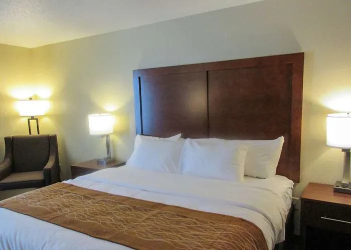 Comfort - Area Hotel DeKalb